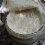 Things I learned making a sourdough starter…